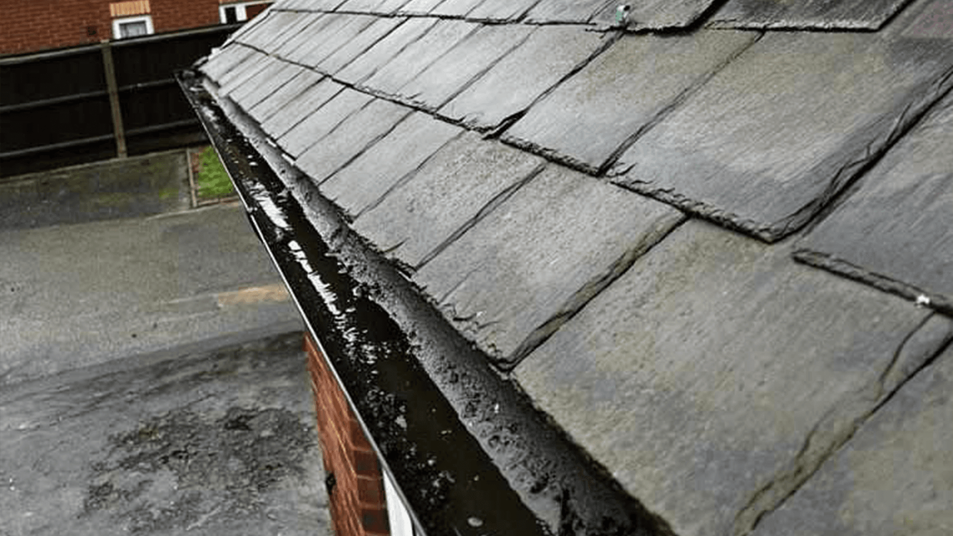 Experience the Difference with Our Professional Gutter Services.